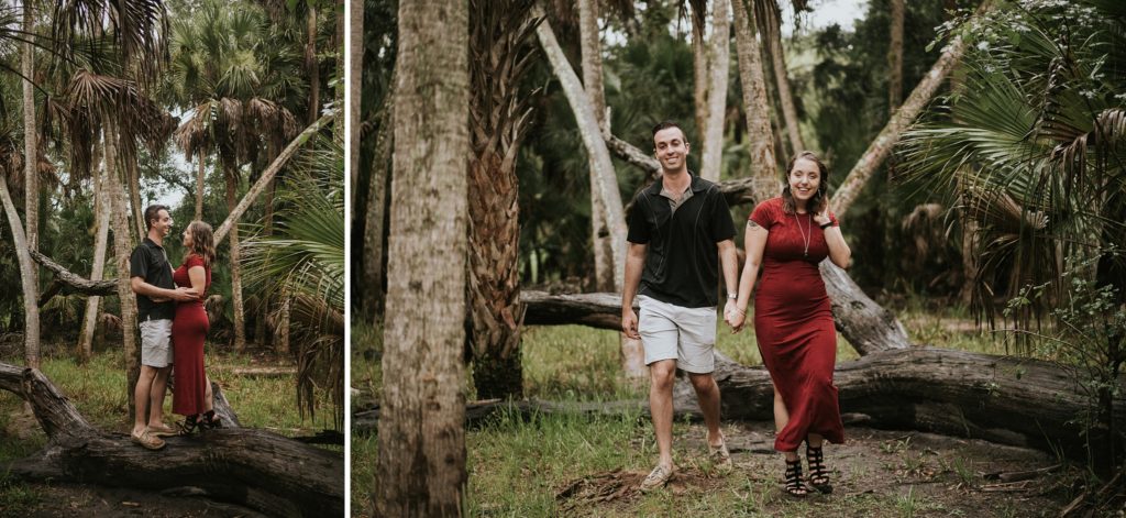 Engaged couple standing on log in Myakka river state park and walk to camera holding hands