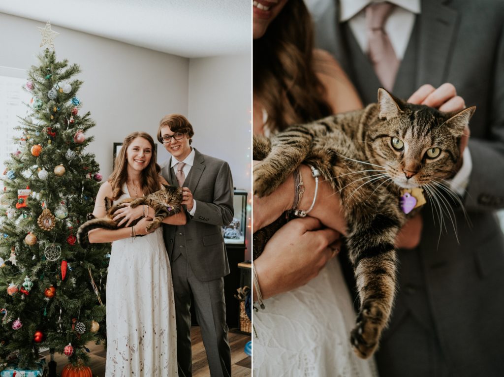 Jupiter Florida home wedding portrait with cat by Christmas tree