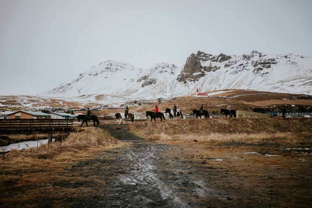 Vík Iceland horse riding group with snowy mountains in background
