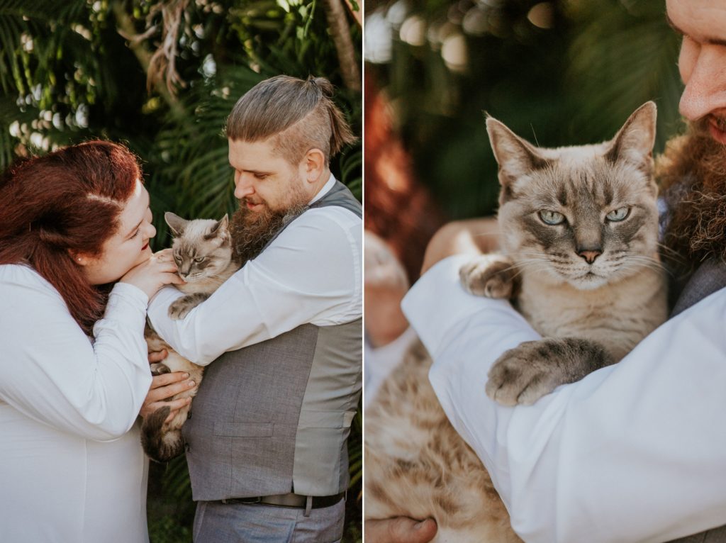 Bride and groom snuggle their cat in backyard wedding in West Palm Beach Florida