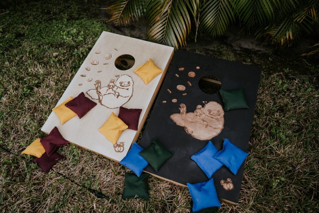 Harry Potter theme corn hole boards with nifflers