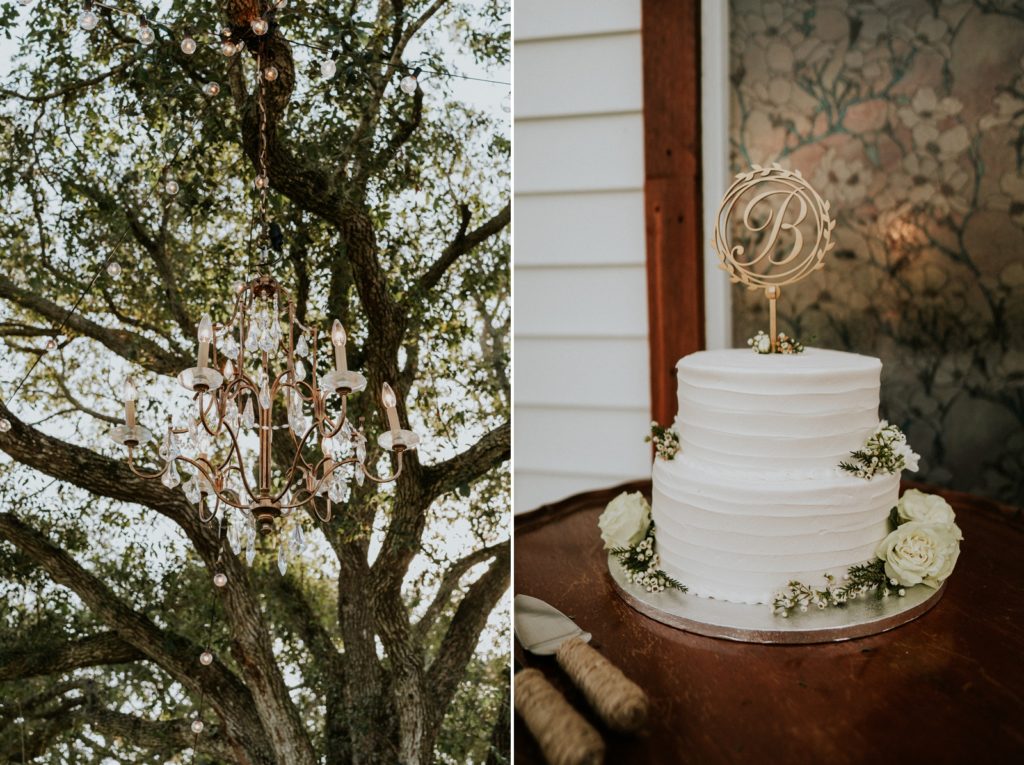 Tree chandelier and Publix wedding Cake